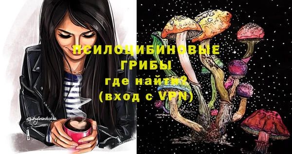 сатива Алексин