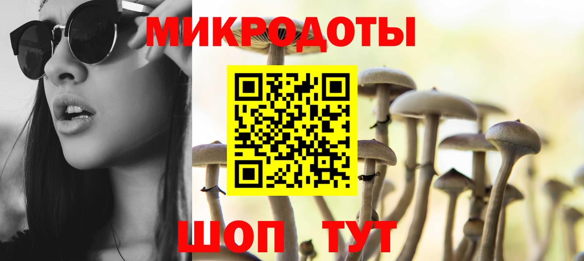 Балашов  Галлюциногенные грибы Psilocybine cubensis  Галлюциногенные грибы ЛСД  Вход с VPN 